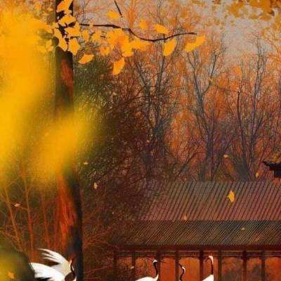 梦回山海bt版下载